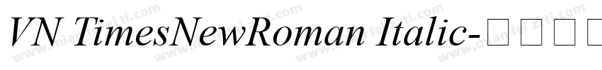 VN TimesNewRoman Italic字体转换
